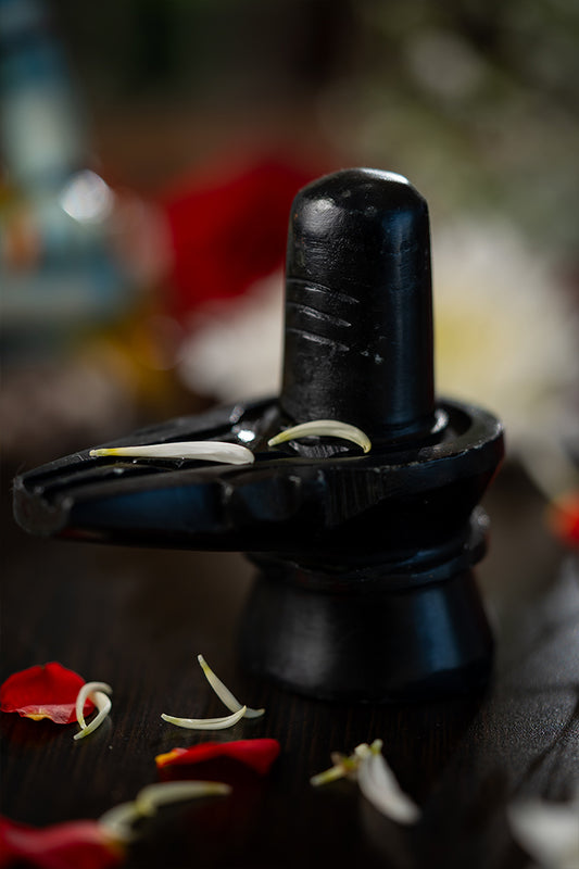 Shivling – PRANA PRATISHIT MURTI