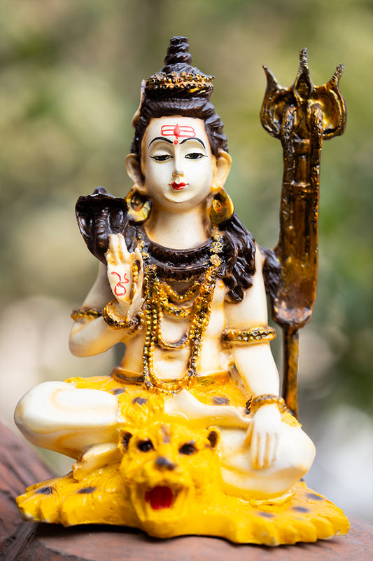 Shiv ji – PRANA PRATISHIT MURTI