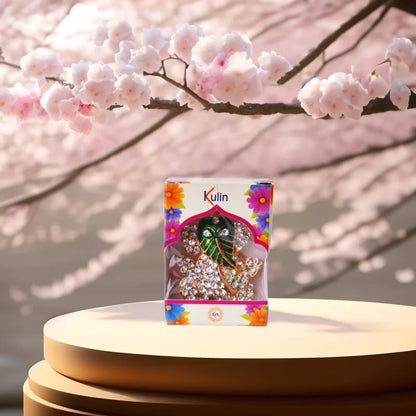 ⭐ GANESH JI – PRĀṆA-PRATIṢṬHIT MURTI