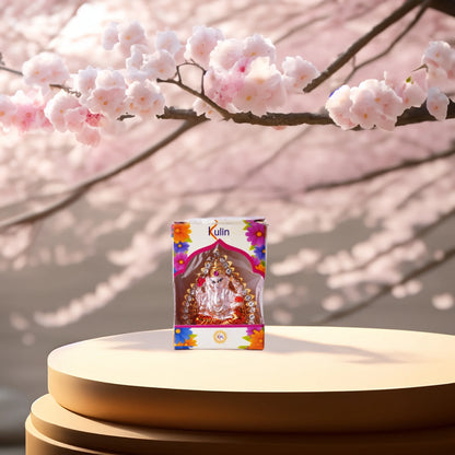 ⭐ GANESH JI – PRĀṆA-PRATIṢṬHIT MURTI