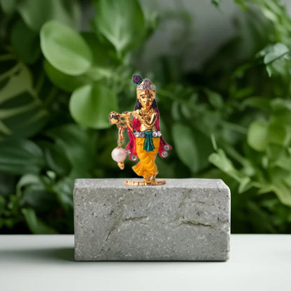 ⭐ KRISHNA JI – PRĀṆA-PRATIṢṬHIT MURTI