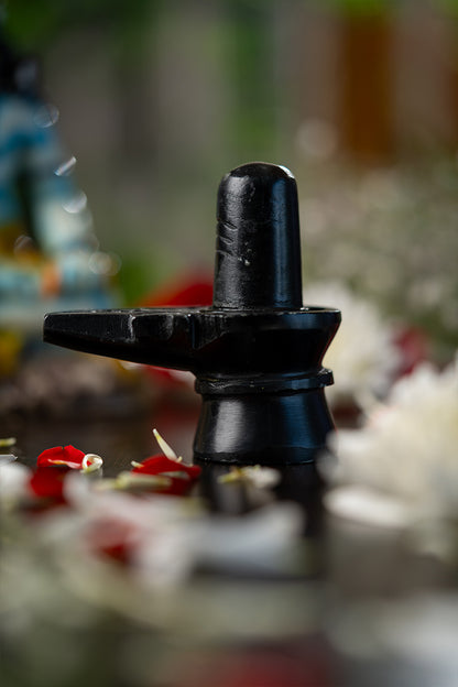 Shivling – PRANA PRATISHIT MURTI