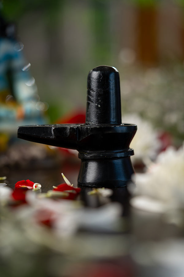 Shivling – PRANA PRATISHIT MURTI