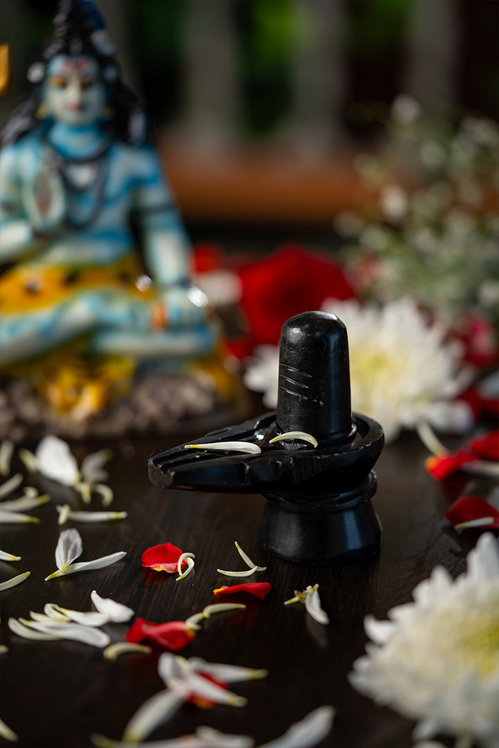 Shivling – PRANA PRATISHIT MURTI