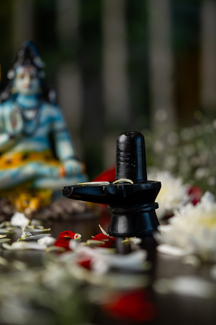 Shivling – PRANA PRATISHIT MURTI