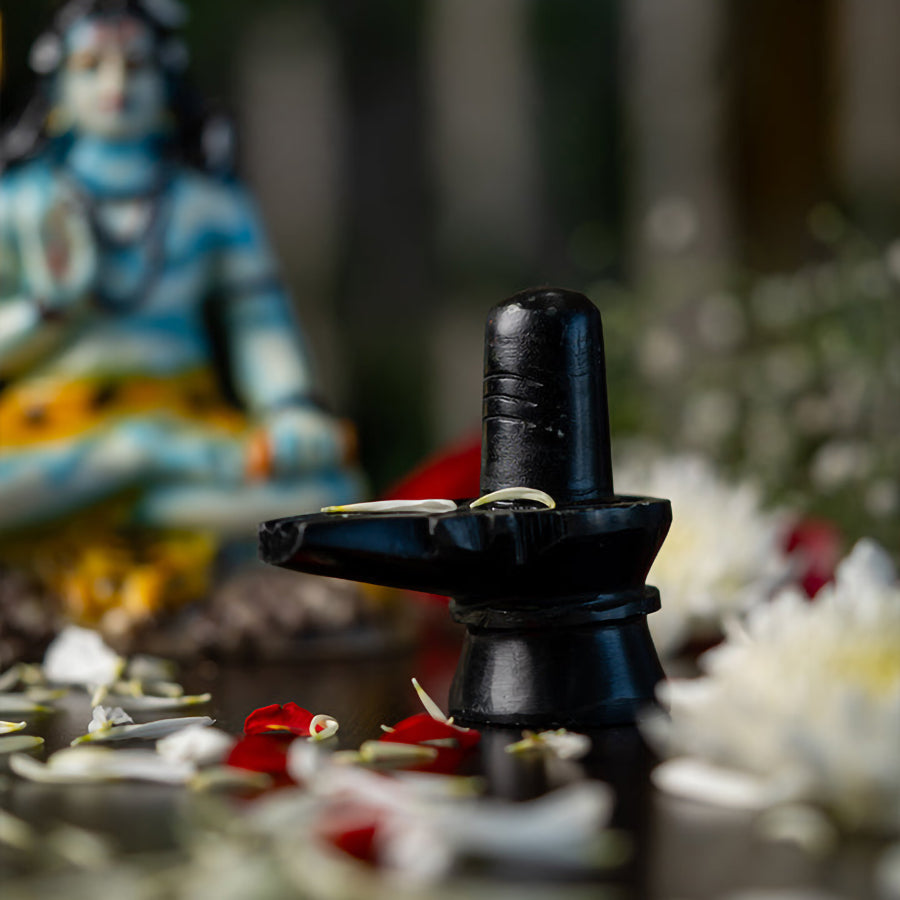 शिवलिंग - प्राण प्रतिष्ठित मूर्ति