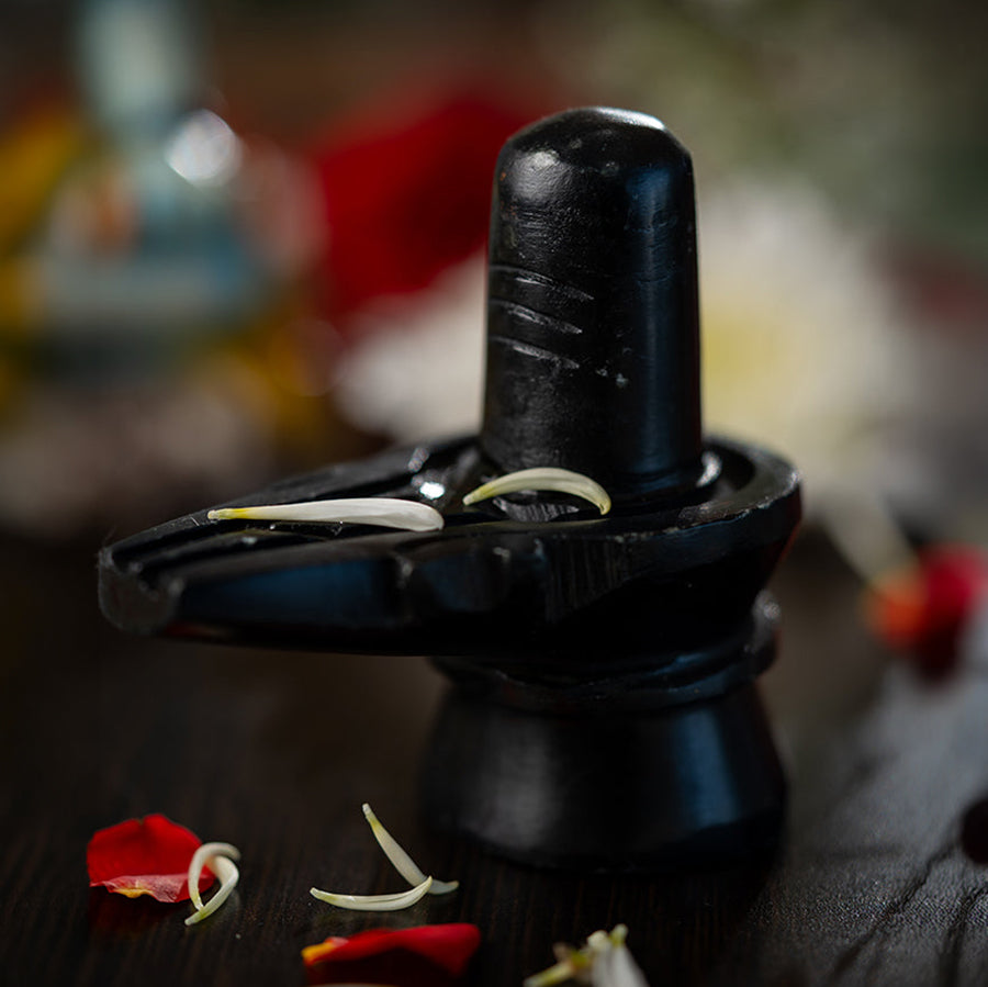 शिवलिंग - प्राण प्रतिष्ठित मूर्ति