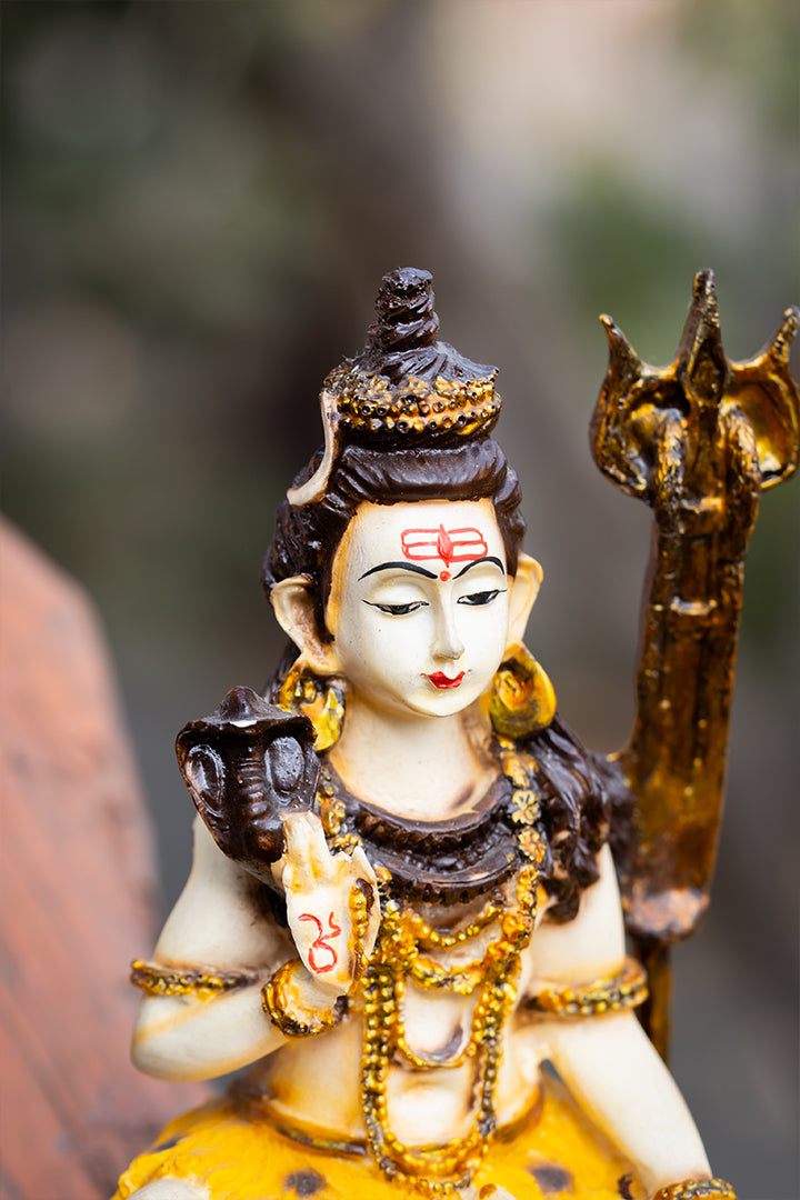 Shiv ji – PRANA PRATISHIT MURTI