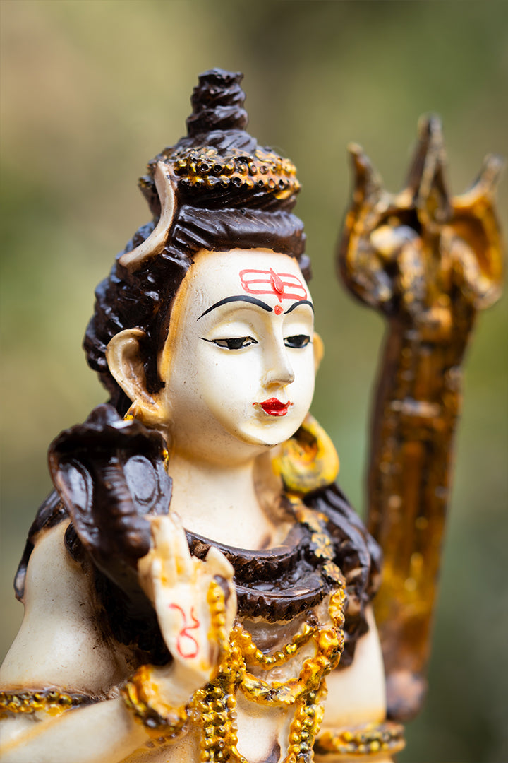 Shiv ji – PRANA PRATISHIT MURTI