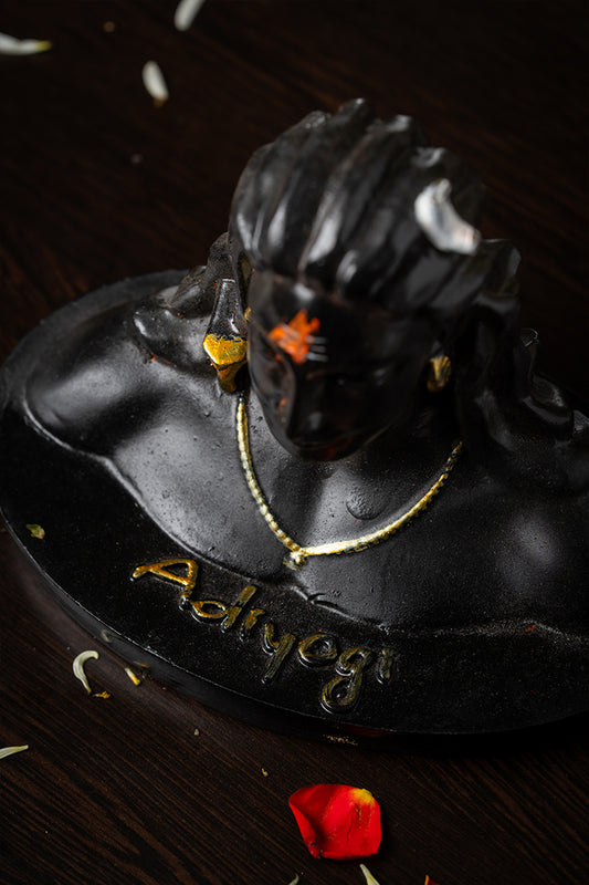 Adiyogi – PRANA PRATISHTHIT MURTI