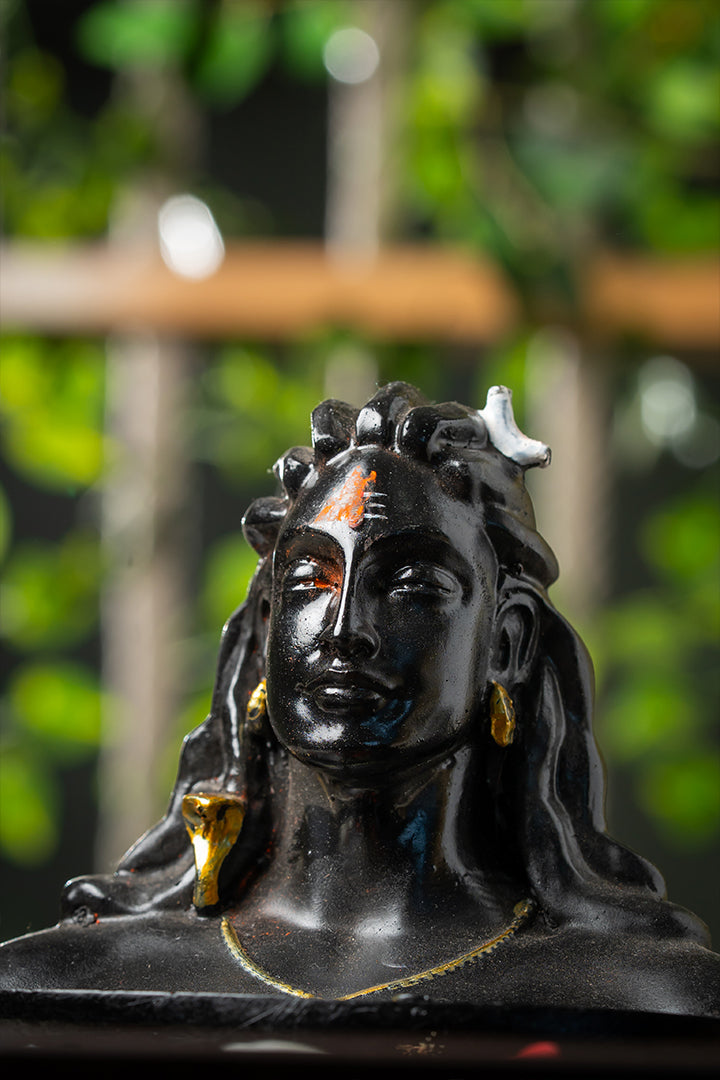 Adiyogi – PRANA PRATISHTHIT MURTI