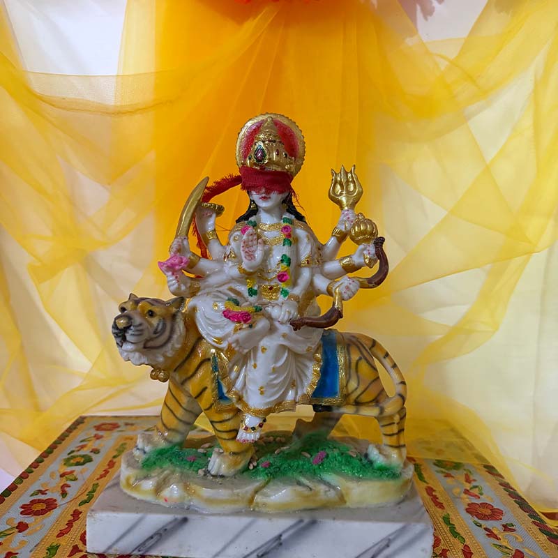 व्याघ्रवाहिनी शेरावाली माँ दुर्गा मूर्ति – 7-दिवसीय प्राण प्रतिष्ठित