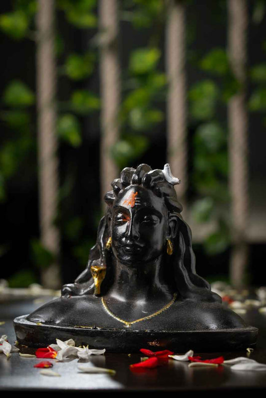Adiyogi – PRANA PRATISHTHIT MURTI