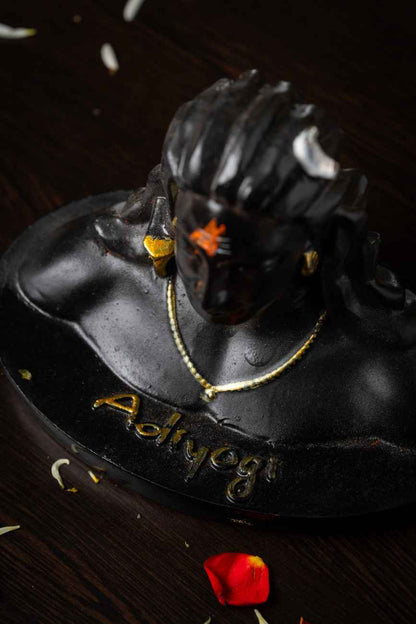 Adiyogi – PRANA PRATISHTHIT MURTI