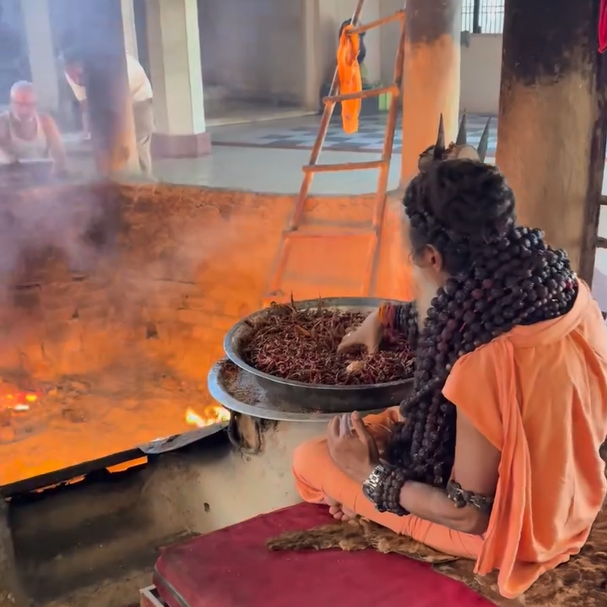 श्री लाल मिर्च महाहवन (माँ बगलामुखी साधना) – पूज्य गुरुदेव बाबा श्री कालीदास जी महाराज के पावन सानिध्य में | संकल्प एवं बुकिंग टोकन