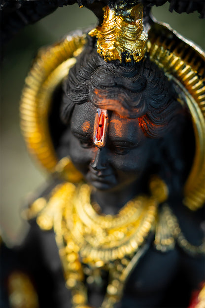 Ram ji – PRANA PRATISHTHIT MURTI